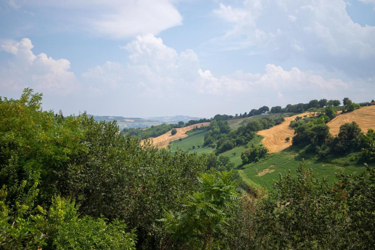 Casa Di Mi Bed and Breakfast Serrungarina Εξωτερικό φωτογραφία