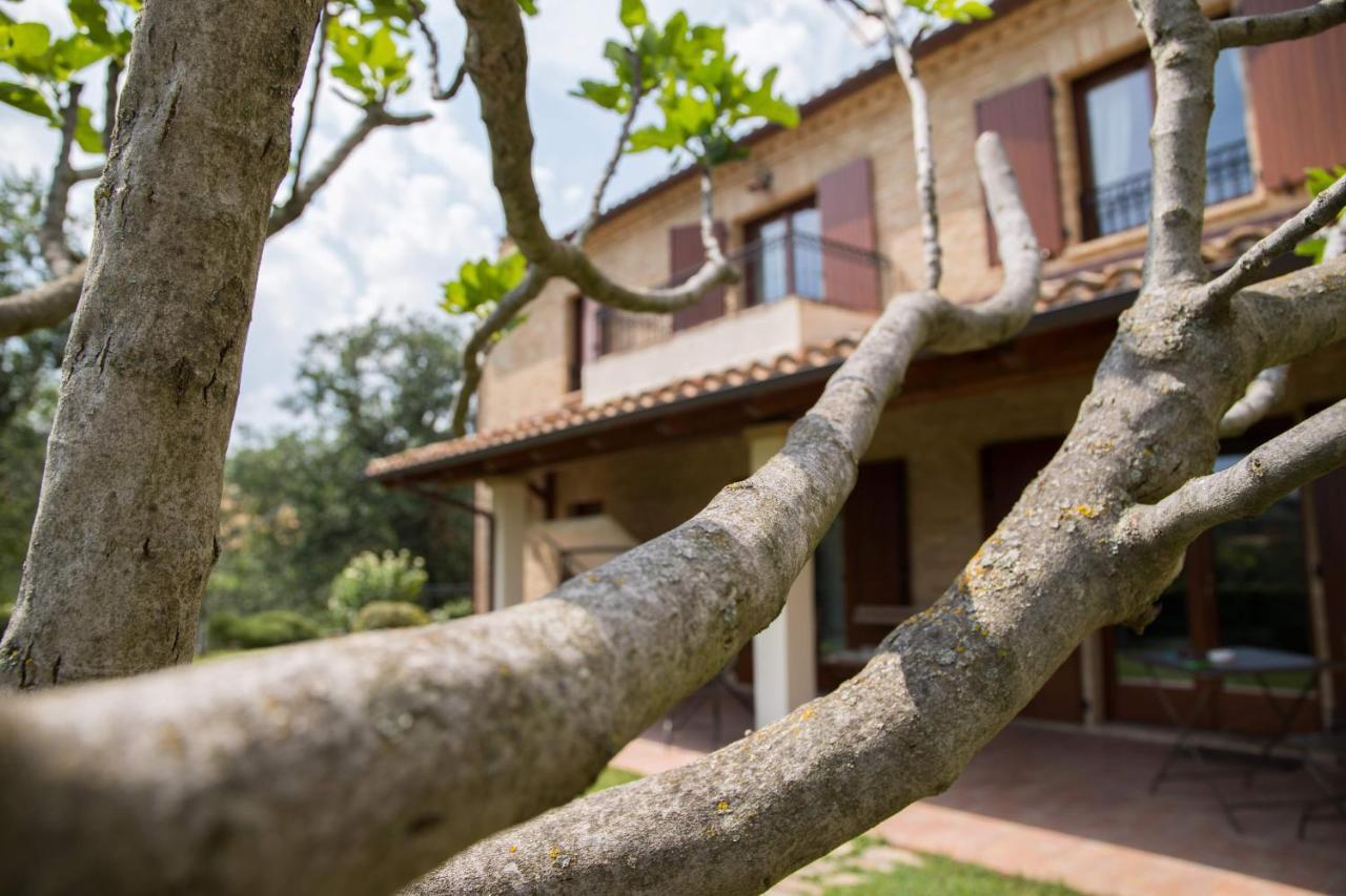Casa Di Mi Bed and Breakfast Serrungarina Εξωτερικό φωτογραφία